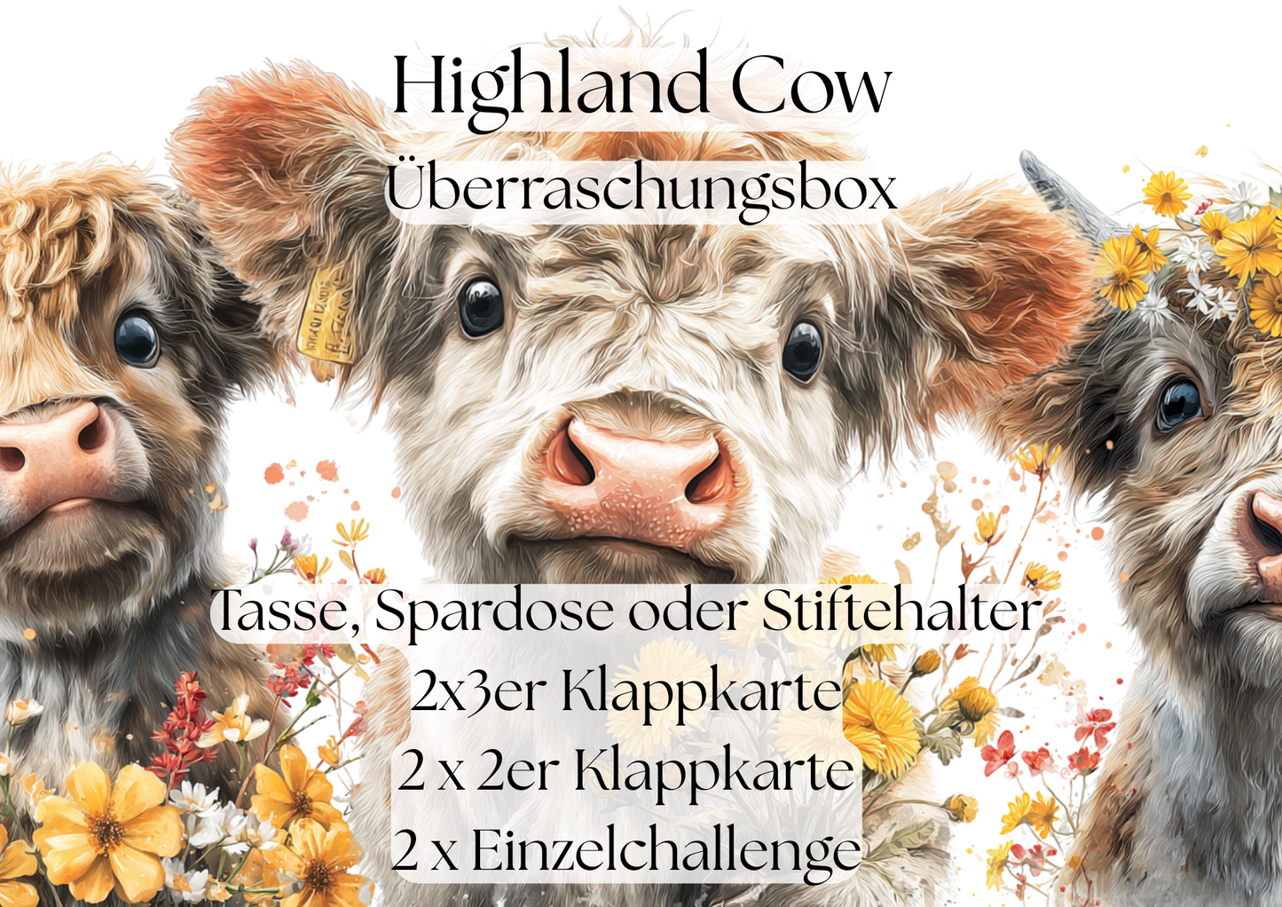 Box „Highland Cow“ *matt foliert*
