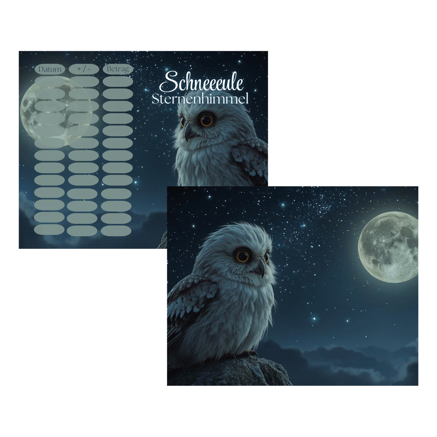 Schneeeule Sternenhimmel A7 *matt foliert*