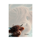 Notizblock Highland Cow A6 (50 Blatt