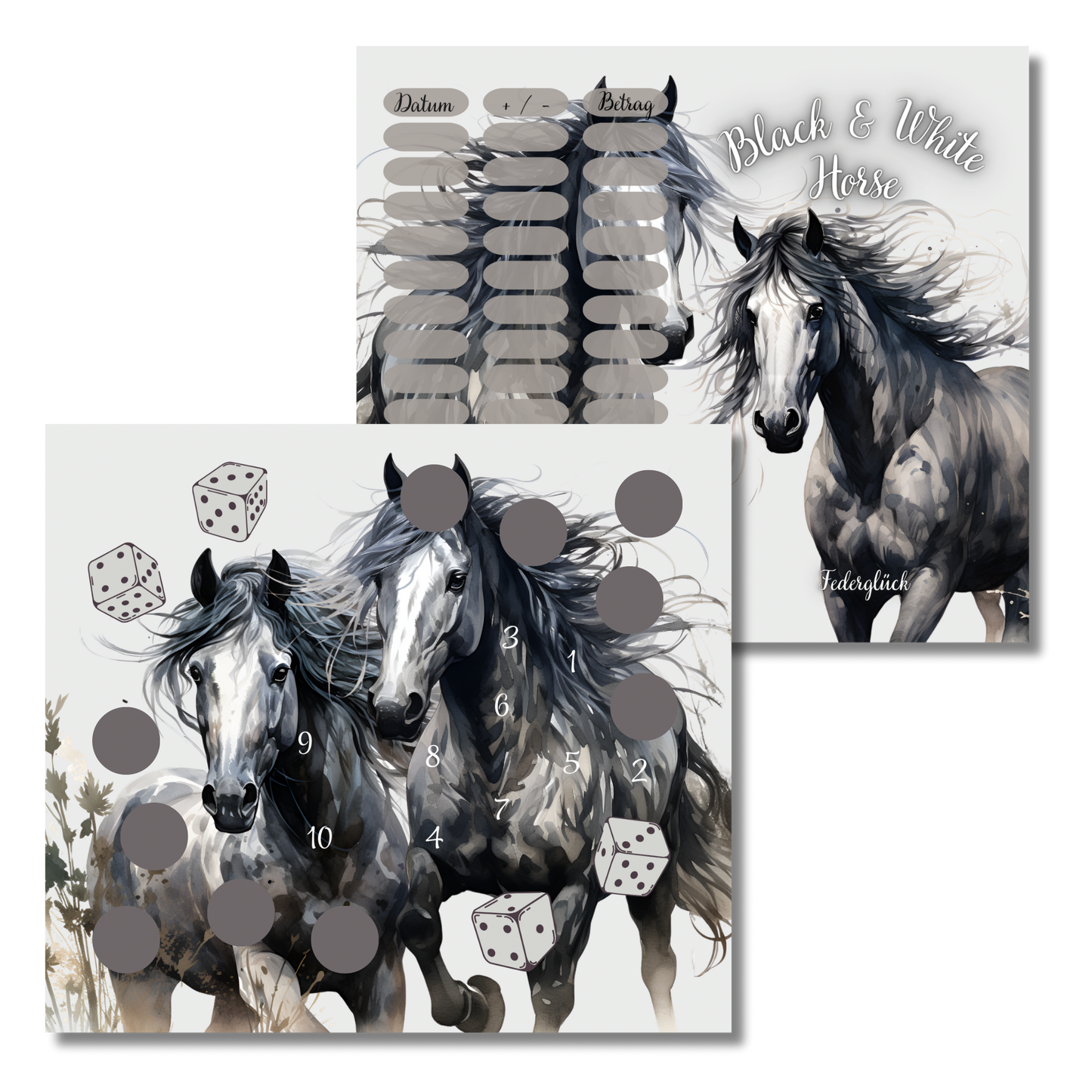Black & White Horse