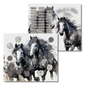 Black & White Horse
