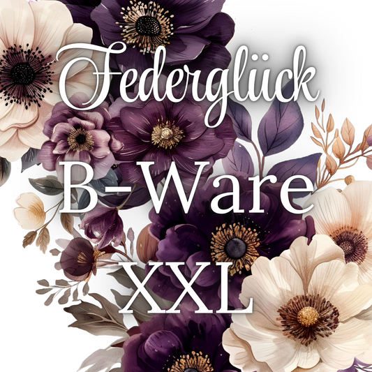 B-Ware XXL Überraschungspaket
